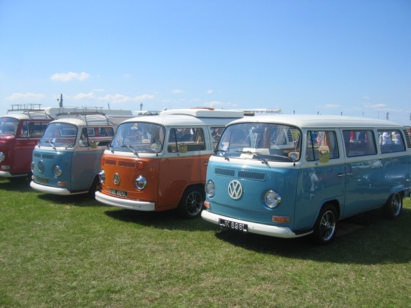 Line up of bay window buses