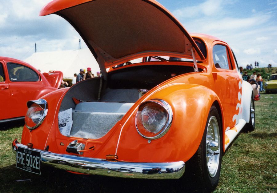 Yummy orange and white beetle with its bonnet open