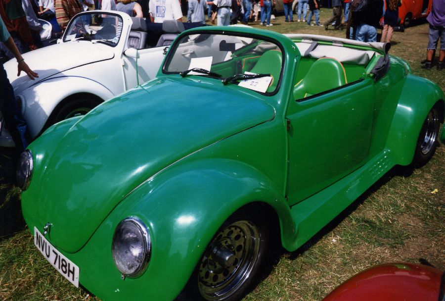 Apple green beetle