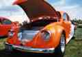 Yummy orange and white beetle with its bonnet open