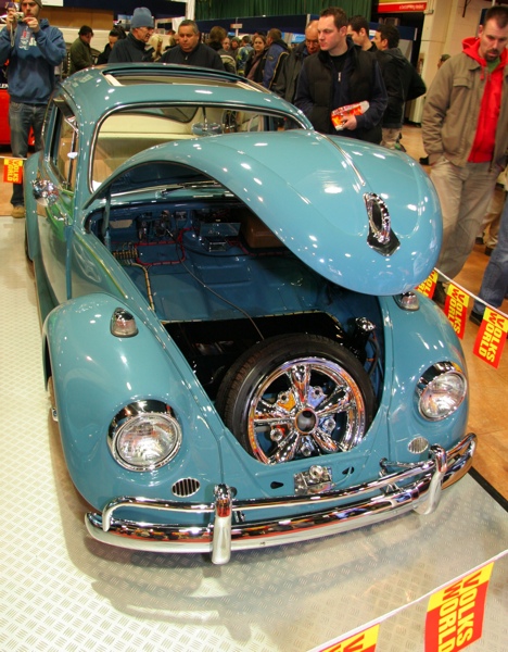 Blue beetle