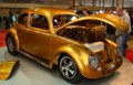 Metallic gold Beetle. Lickable