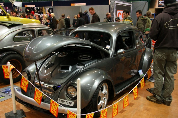 Shiny beetle