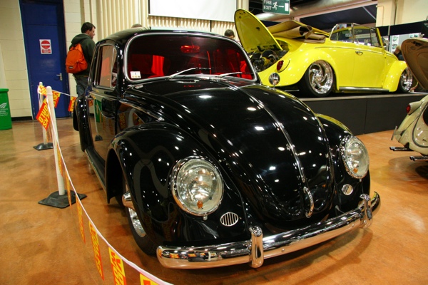 Shiny beetle