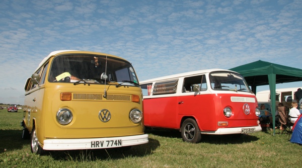 Buses in the sun